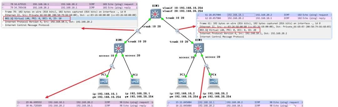 VLAN 原理与实践