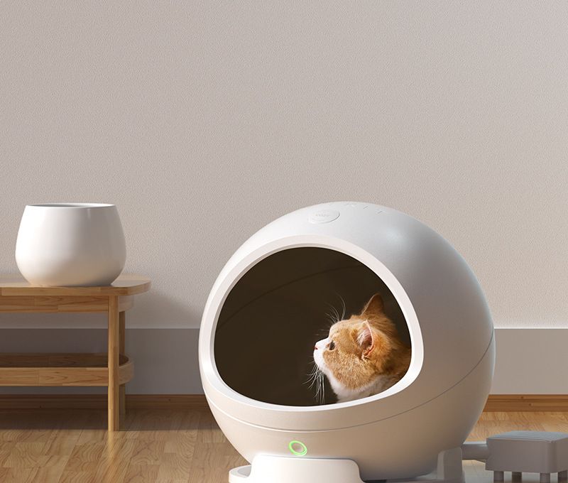 树莓派智能家居中控，如何低成本选择