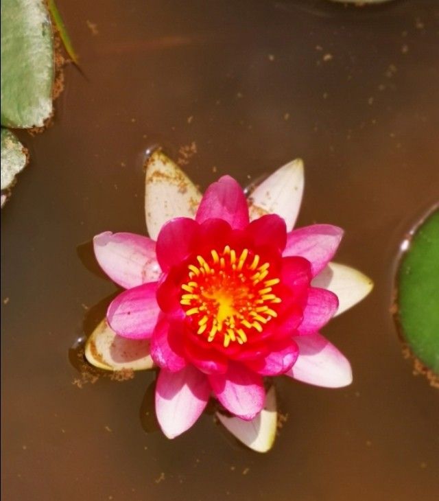 【学霸笔记】初中英语近义词汇总