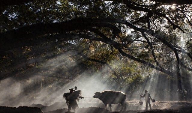 如何应对精准的广告推送？从关闭这些手机权限开始