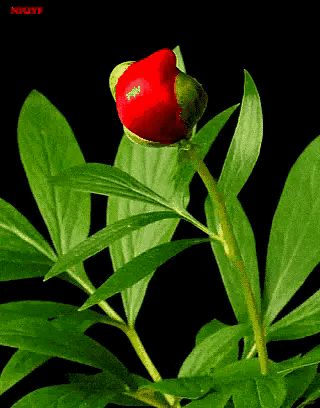 【学霸笔记】初中英语近义词汇总