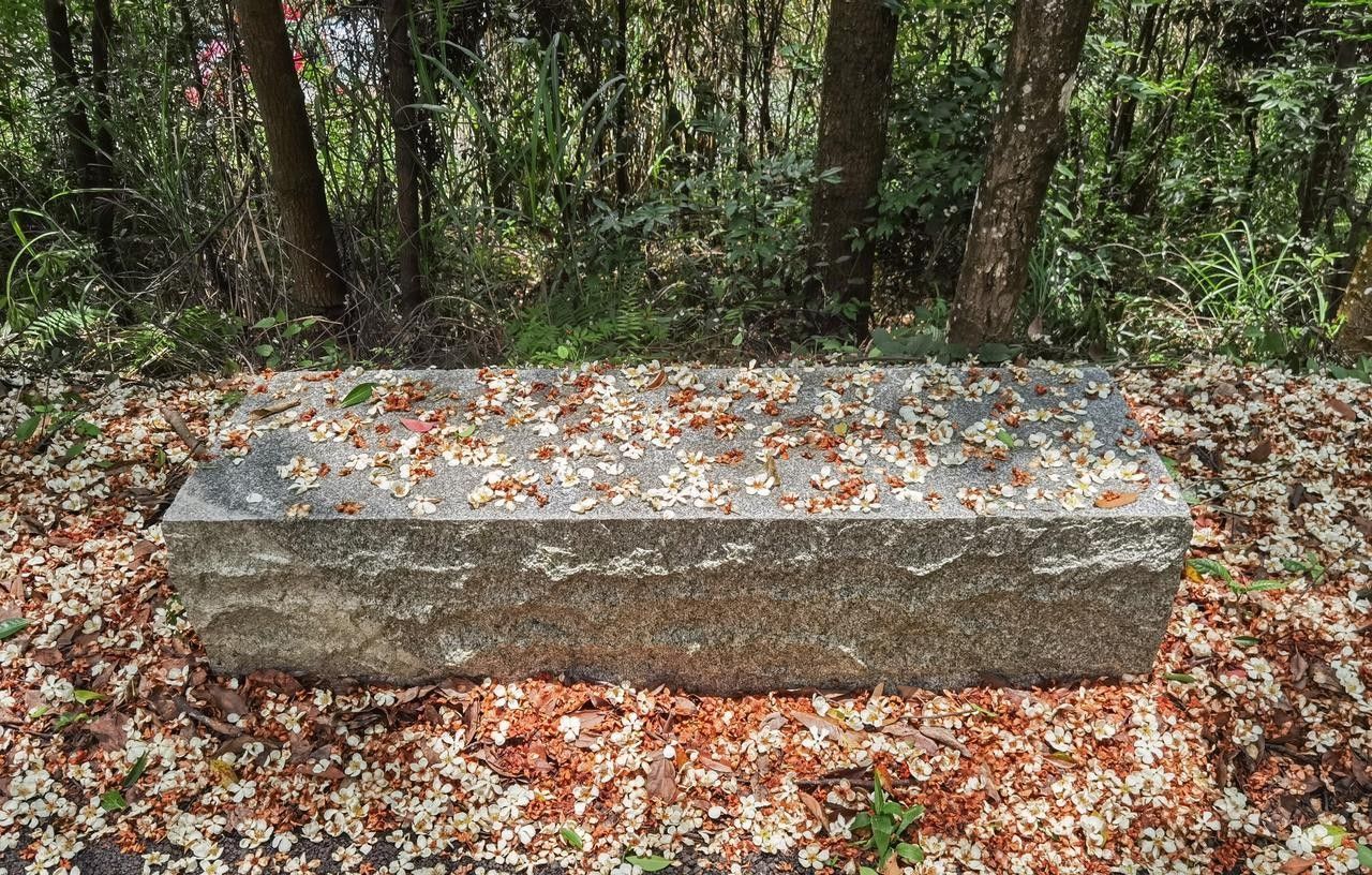 今日九月初一朔日,无论多忙,记得:1不出、2不吵、3不坐、4要上