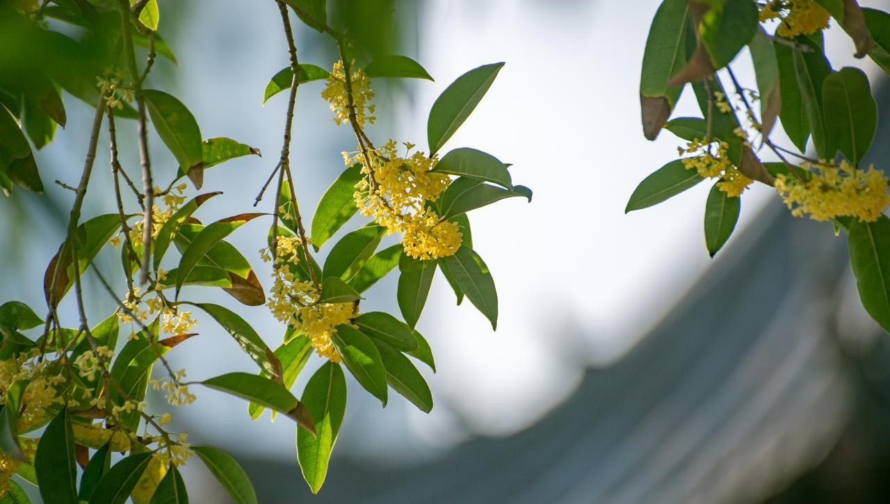 今日九月初一朔日,无论多忙,记得:1不出、2不吵、3不坐、4要上