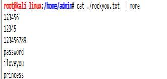 Kali Linux学习笔记（密码破解篇）