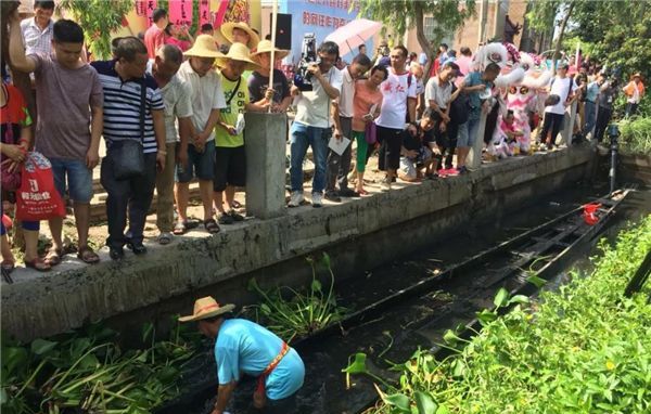 佛山上演最刺激“龙舟漂移” A visual feast of dragon boat in Foshan