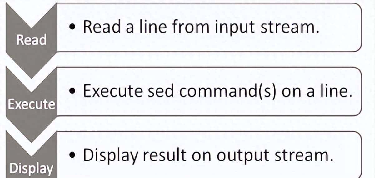 Linux基础命令-sed命令