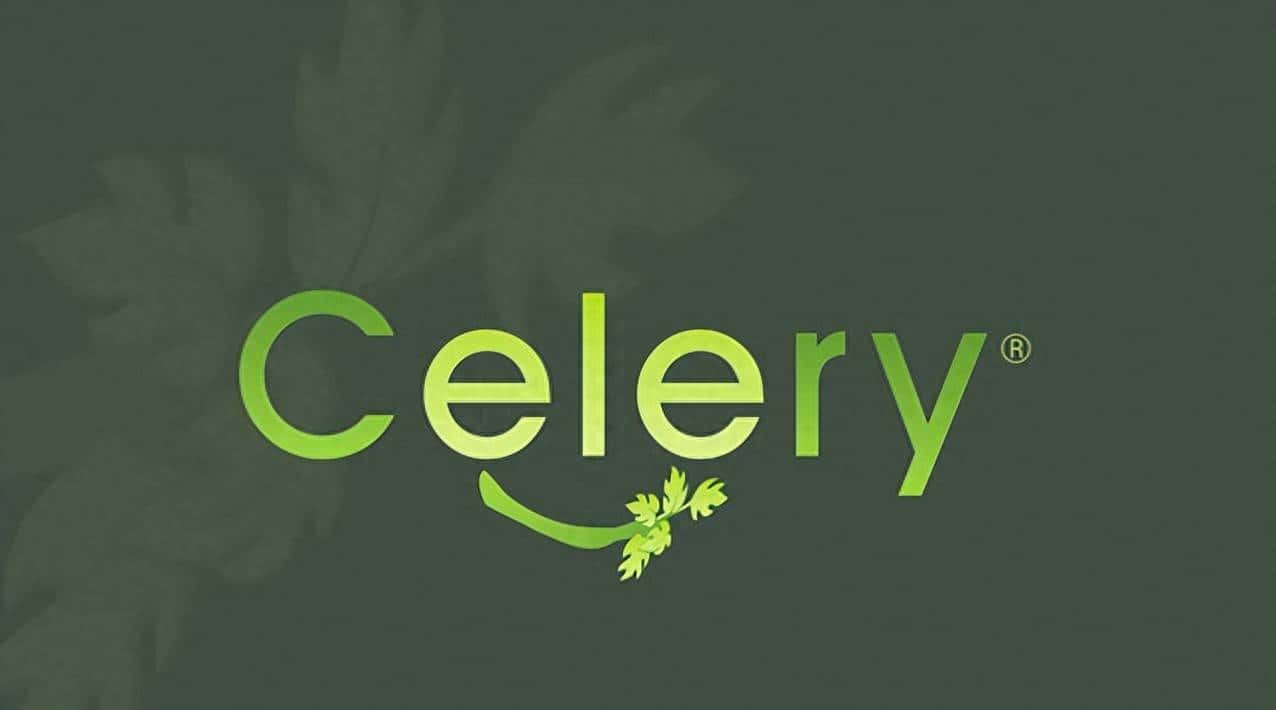 Python每日一库｜Celery (二)