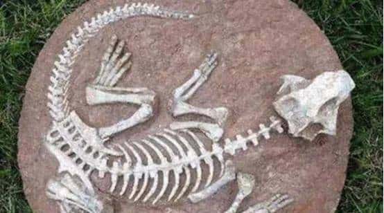 甘肃临洮,被低估的恐龙王国!