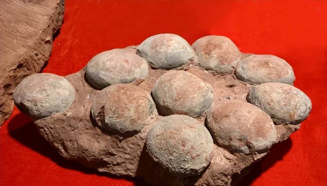 甘肃临洮,被低估的恐龙王国!