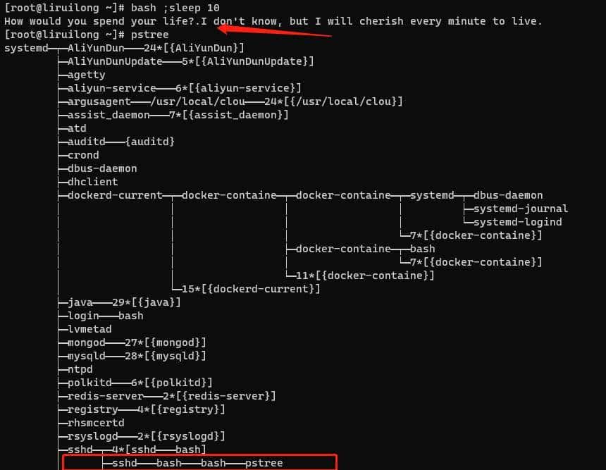 关于Linux中shell 等知识的一些笔记