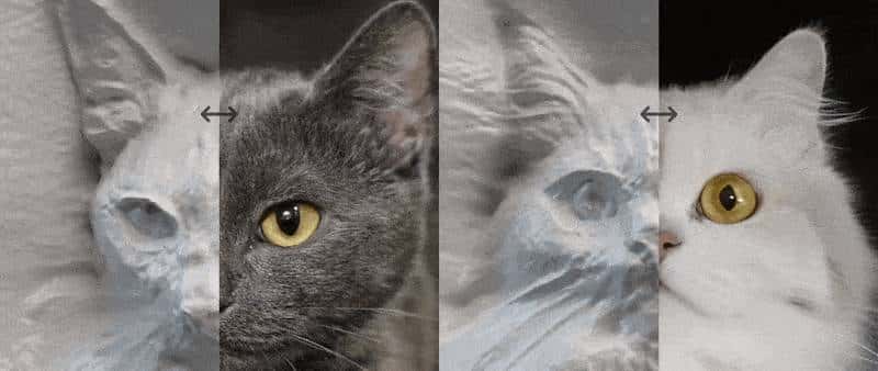 主流 AI 生成 3D 技术流派辨析:Text-to-3D, Image-to-3D 与 NeRF 应用概览