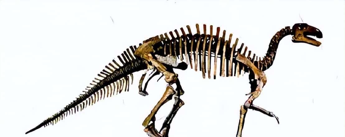 甘肃临洮,被低估的恐龙王国!