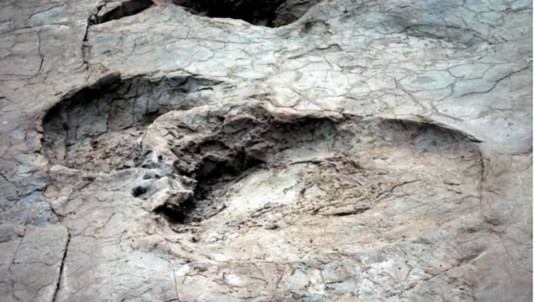 甘肃临洮,被低估的恐龙王国!