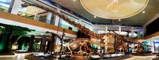 甘肃临洮,被低估的恐龙王国!