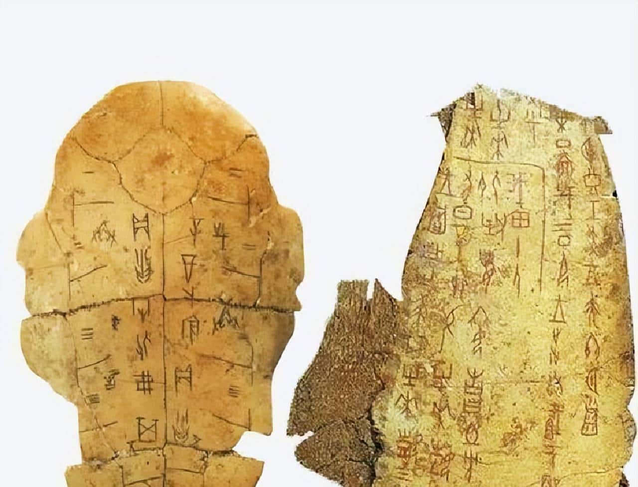 甲骨文都没记录的夏朝,为何周朝却知夏朝的存在?考古或揭开谜团