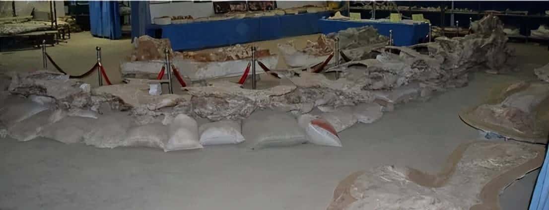 甘肃临洮,被低估的恐龙王国!