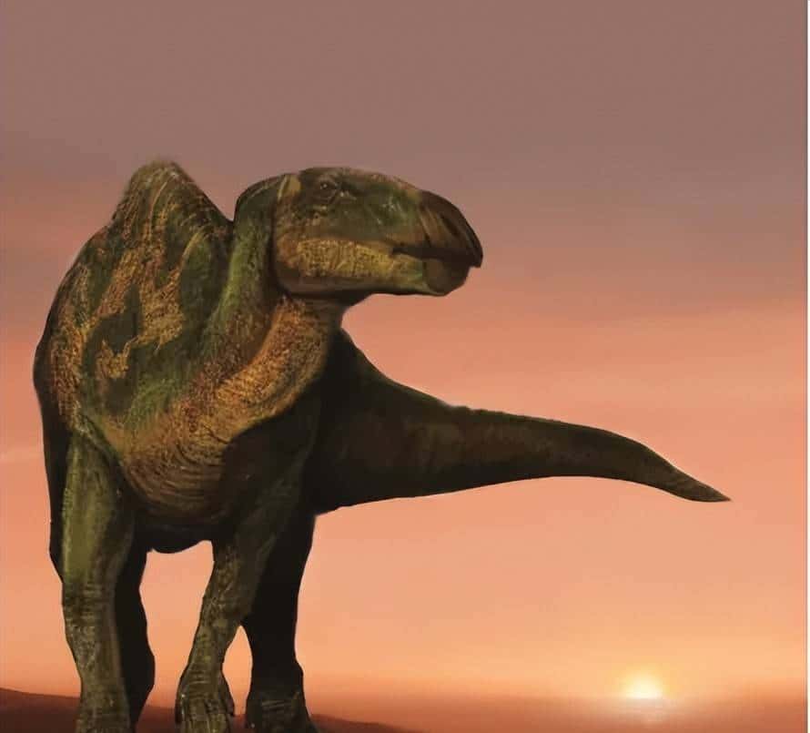 甘肃临洮,被低估的恐龙王国!