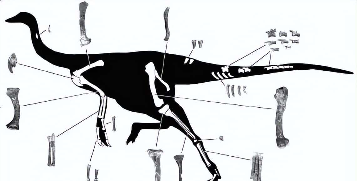 甘肃临洮,被低估的恐龙王国!