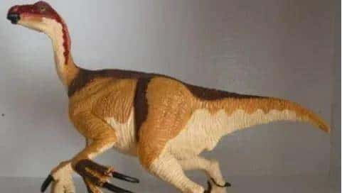 甘肃临洮,被低估的恐龙王国!