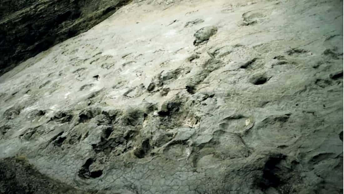 甘肃临洮,被低估的恐龙王国!