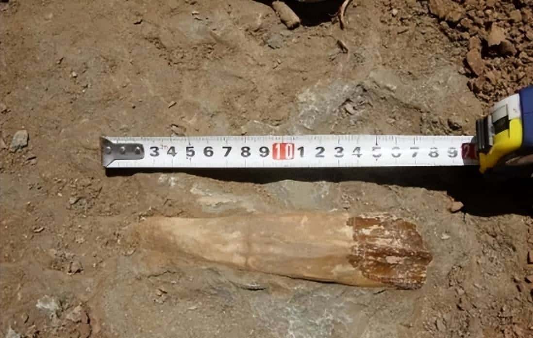 甘肃临洮,被低估的恐龙王国!