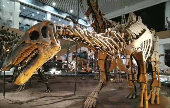 甘肃临洮,被低估的恐龙王国!