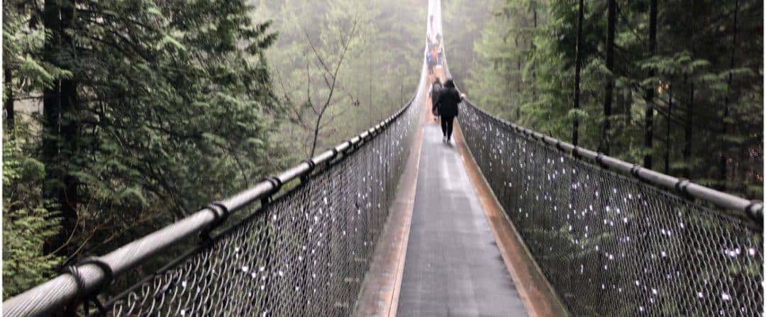 读博无门就业碰壁，孤独当了7个月“民科”后，我的论文中了顶会