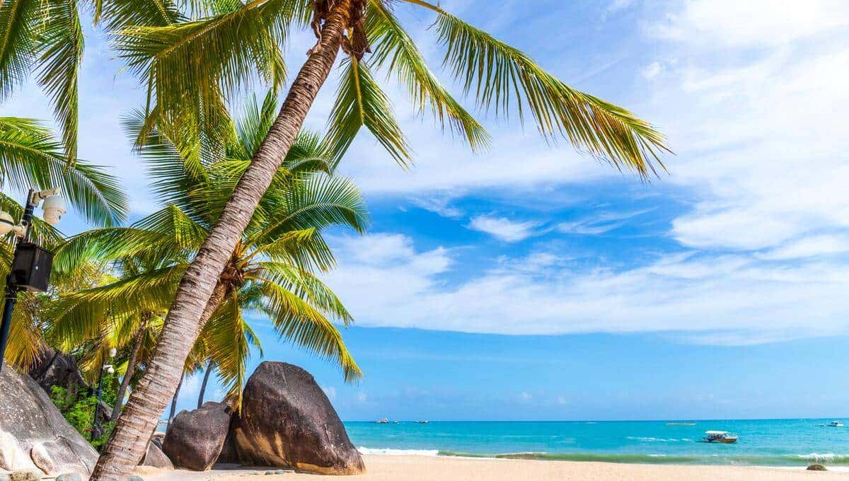 论天涯社区的倒掉