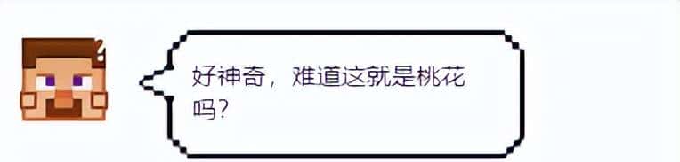 「我的世界」大发现！猪猪竟然还有隐藏技能？