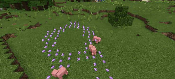 「我的世界」大发现！猪猪竟然还有隐藏技能？