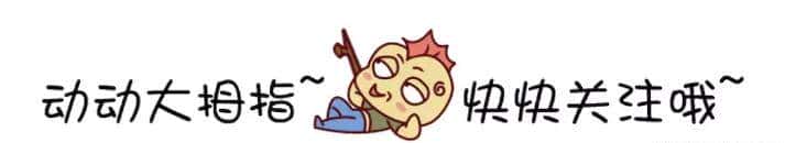 【pytorch】目标检测:彻底搞懂YOLOv5详解