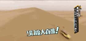 那些年我们一起挖过的沙