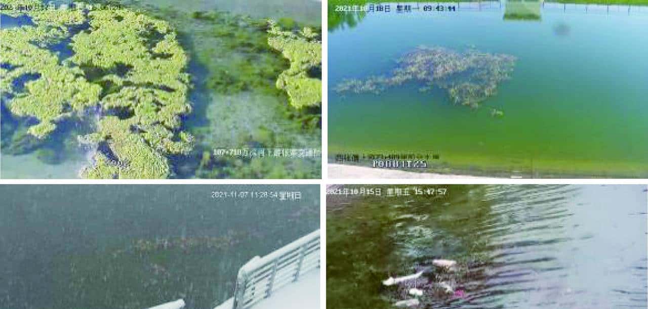 改进YOLOv3的轻量化漂浮物检测算法