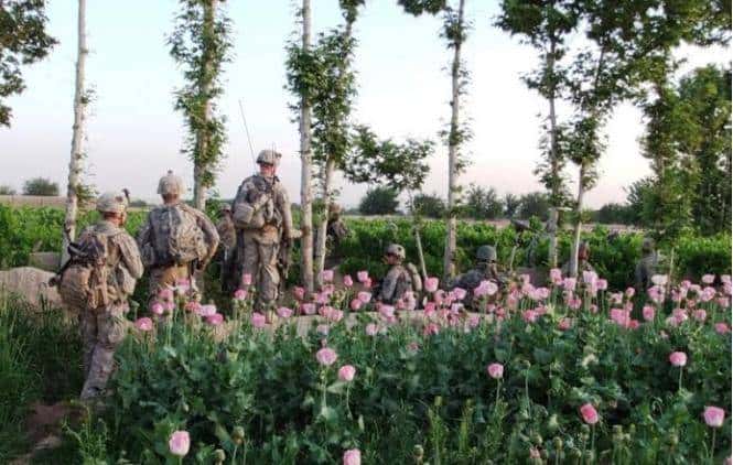 一手炮制世界三大毒窝，美国中情局才是史上最强毒枭