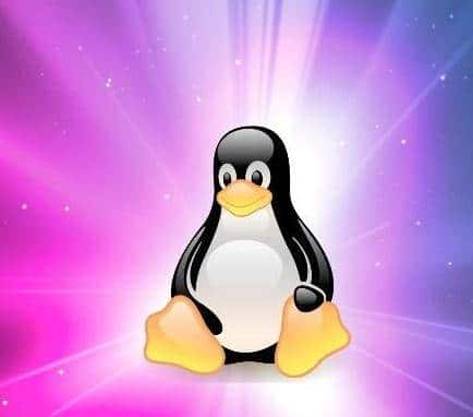 Linux踩坑记：奇怪的知识又增加了