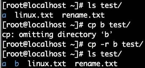 Linux命令详解之一基础指令