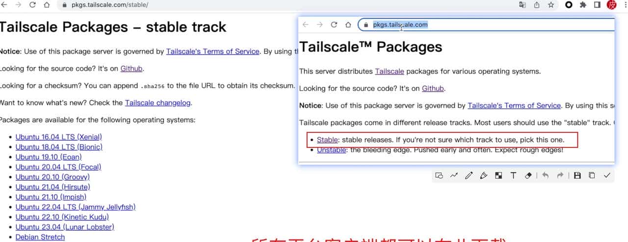 部署TailScale,实现远程访问!最简单的远程访问、开箱即用方案