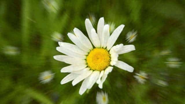 手机专业模式光圈调节场景指南