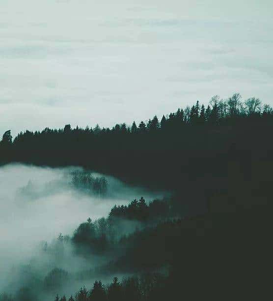 三联诗社｜大雁裁剪了天空，酒与瞌睡又连成一片