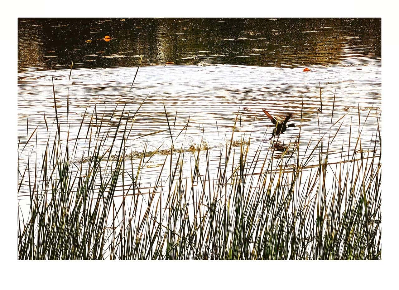 手机拍摄使用专业模式，快门设置及使用范围。