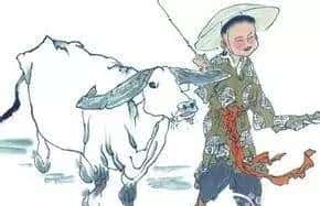 辣词 | “铮铮铁骨”，其实没有那么硬气！