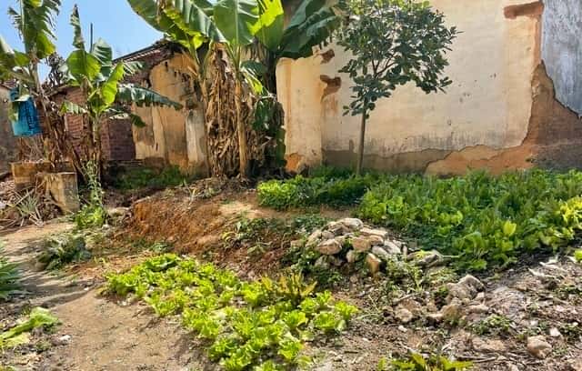 72年修水库，一个成分不好的女人为了给我送饭，摔伤了脚