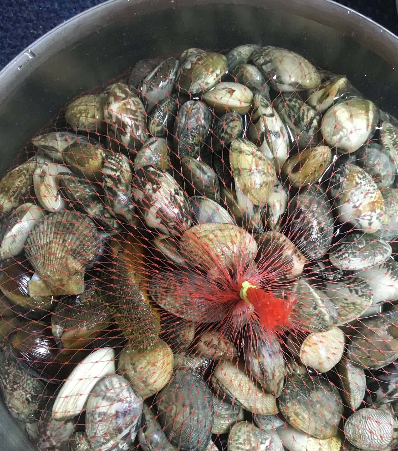 暑假到了带孩子去看宇宙篇——挖花哈（地址：厦门岛环岛路一国两制统一中国🇨🇳的那片大海）