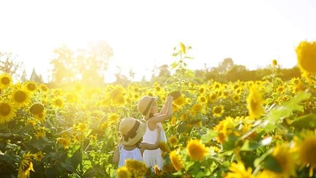 72年修水库，一个成分不好的女人为了给我送饭，摔伤了脚