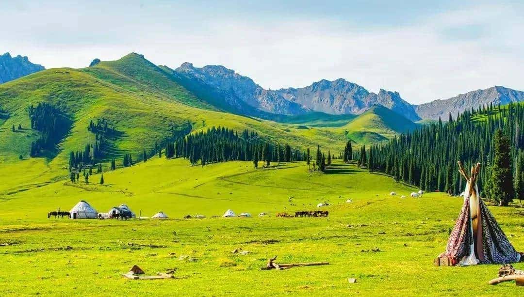 英语中与冠词an搭配的单词汇总，请收藏！