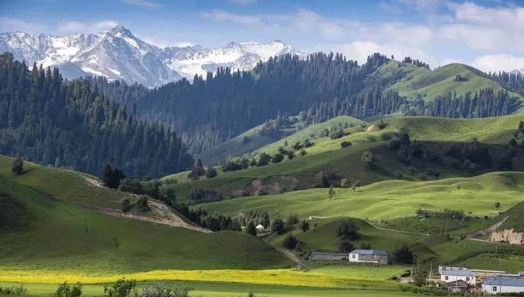 英语中与冠词an搭配的单词汇总，请收藏！