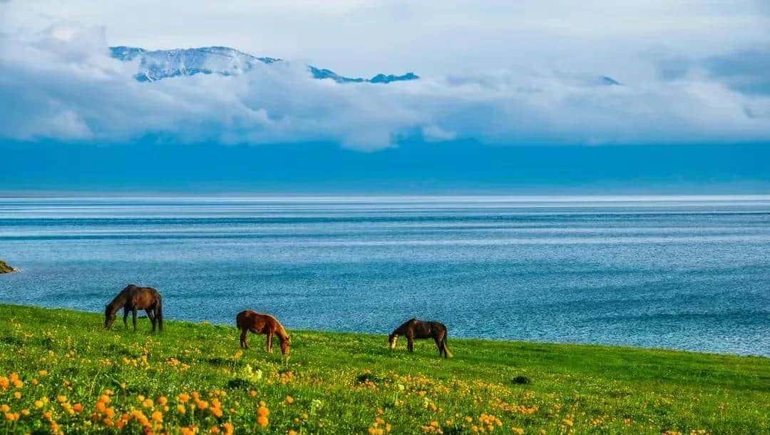 英语中与冠词an搭配的单词汇总，请收藏！