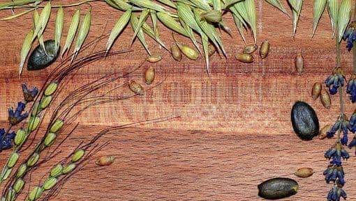 「英语小课堂」在国外点餐或去西餐有没有注意到V、gf、VG、PL?