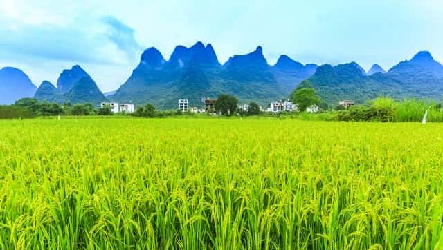 嫂子从城里回来,给我带了件新衬衫,她说:让我看看合不合身