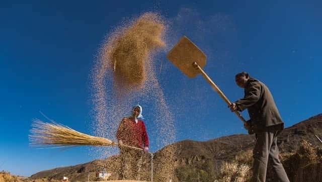 72年修水库，一个成分不好的女人为了给我送饭，摔伤了脚